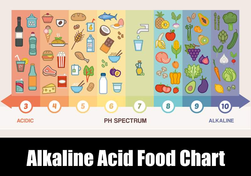 alkaline acid food chart