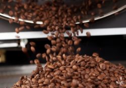 Best Home Coffee Roasters In 2022 Reviewed