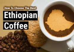 Best Ethiopian Coffee Brands In 2021 Reviewed