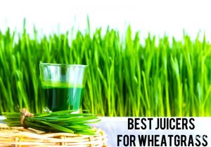 Best Juicer For Wheatgrass