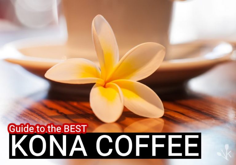 MustTry Kona Coffee Beans From Hawaii In 2024 KitchenSanity