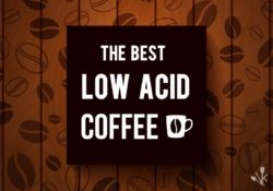 Best Low Acid Coffee Brands Reviewed In 2022