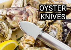 10 Best Oyster Knives For Shucking In 2022