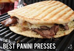 The 7 Best Panini Presses In 2021