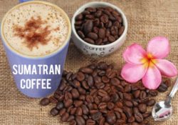 Best Sumatra Coffee Beans In 2022 Reviewed