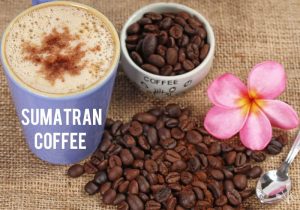 Best Sumatra Coffee Beans In 2021 Reviewed