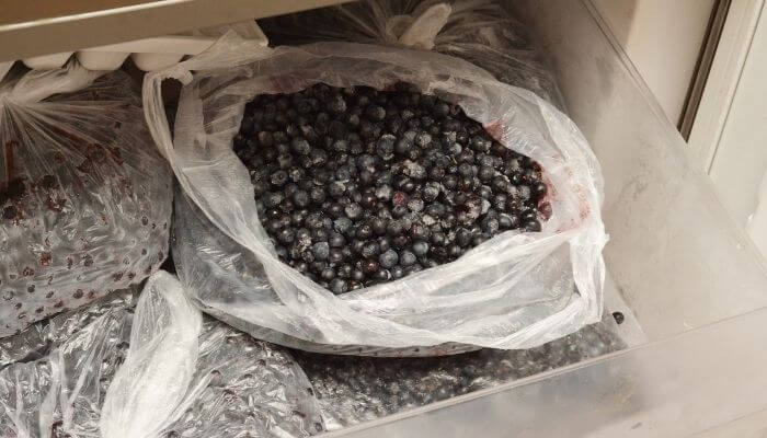 blueberries in freezer