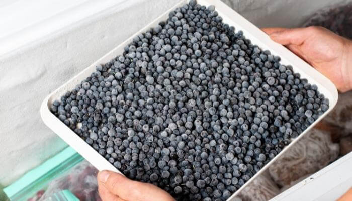 blueberries on tray for freezing