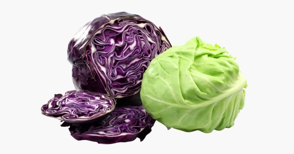 cabbage for juicing