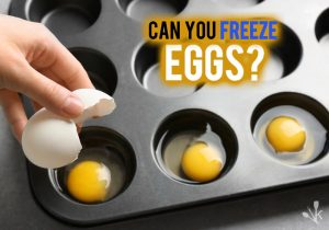 Can eggs be frozen?
