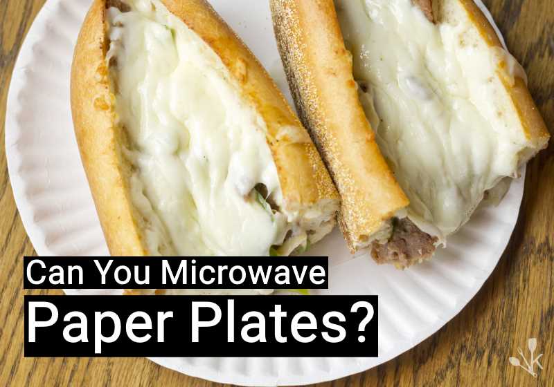 can i put paper plate in microwave