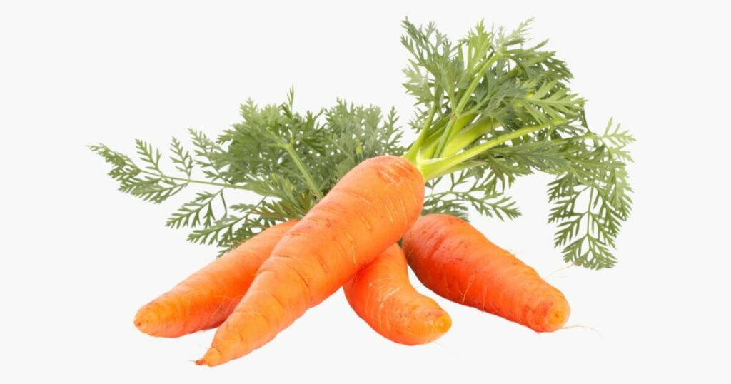 carrots for juicing