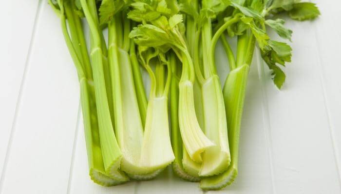 celery bottom stalks cut