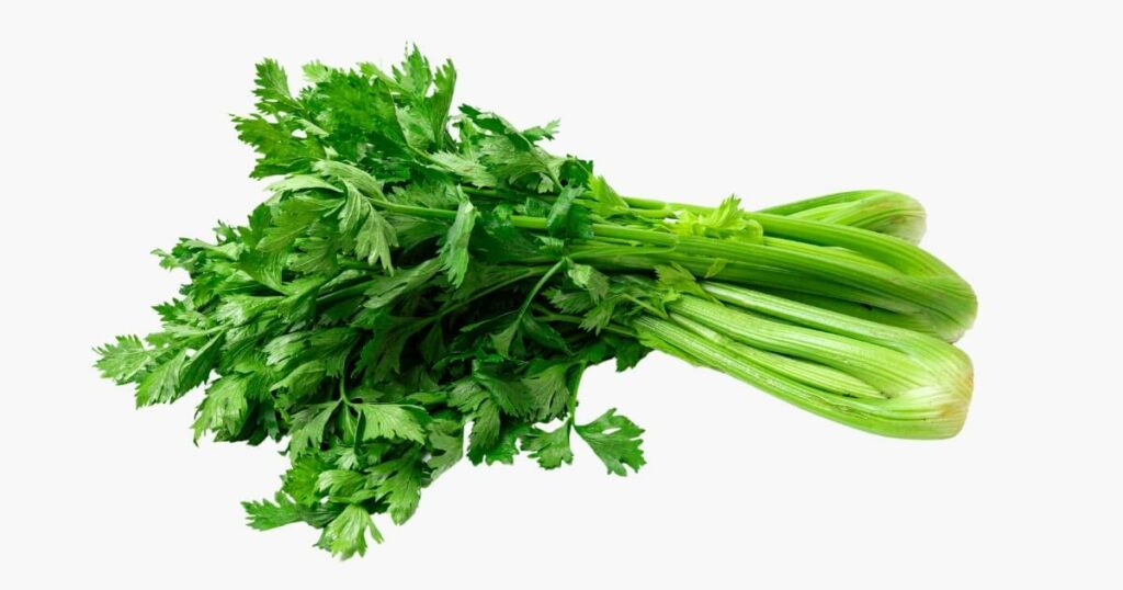 celery for juicing