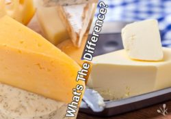Cheese vs Butter: The Milk Difference