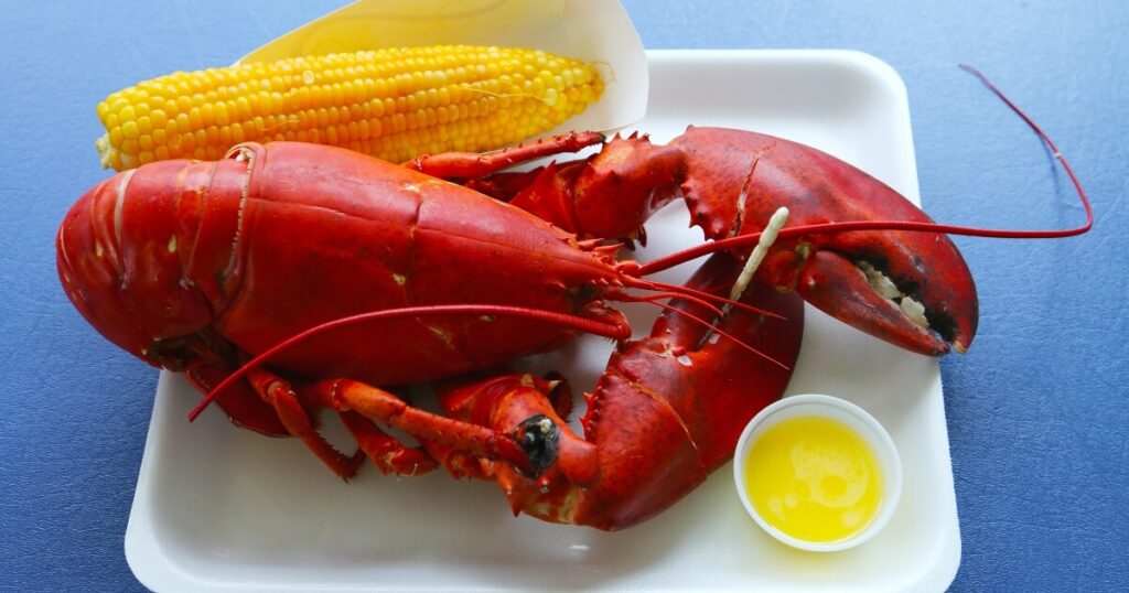 cooked lobster with corn on the cob