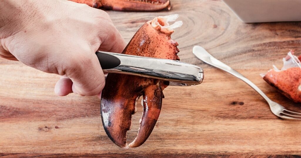 cracking lobster claws with tool