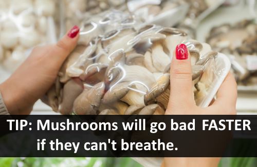 do mushrooms go bad