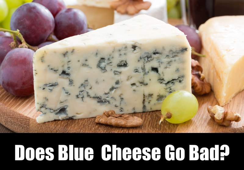 Does Blue Cheese Go Bad? Shelf Life Dates - KitchenSanity