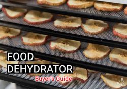 10 Best Food Dehydrators To Buy In 2021