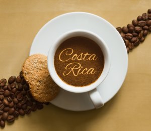 Geisha Coffee Costa Rica