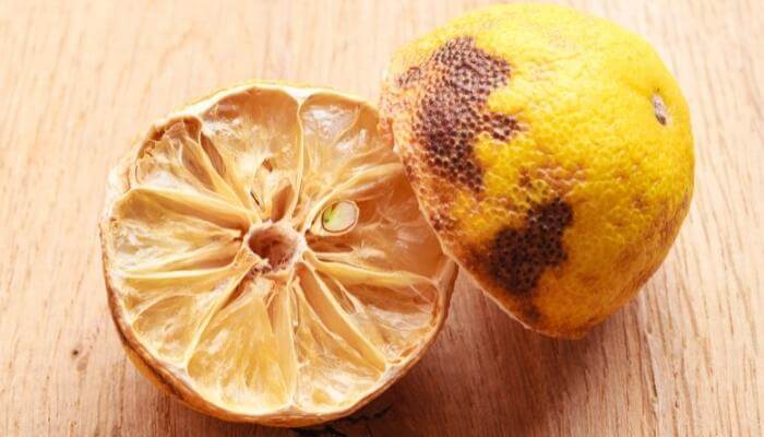 good vs bad Lemon inside