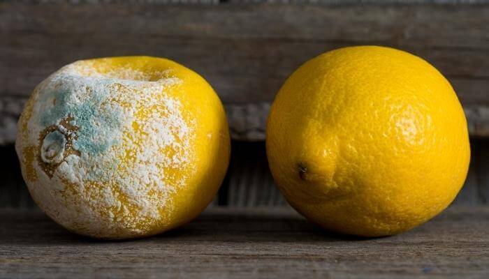 good vs bad Lemon outside whole
