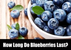How Long Do Blueberries Last?