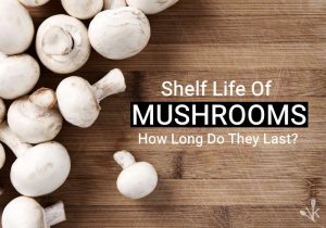 how long do mushrooms last