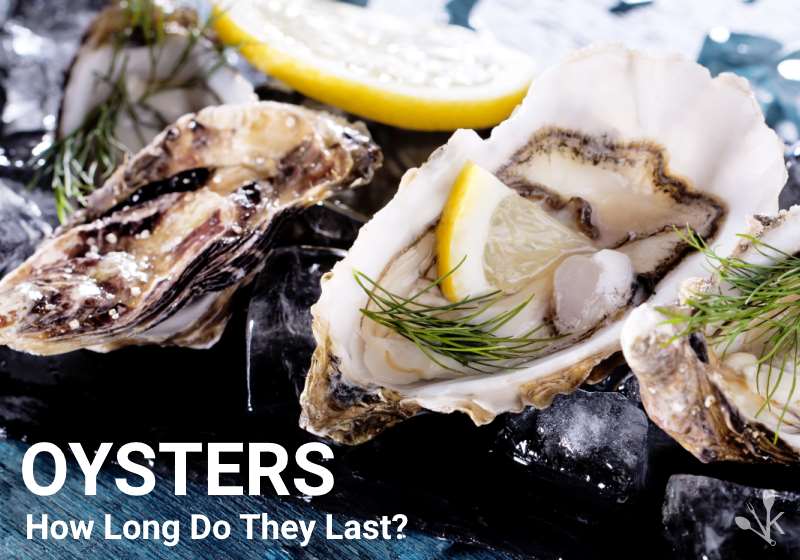 How Long Do Oysters Last? Fresh And Alive! - KitchenSanity