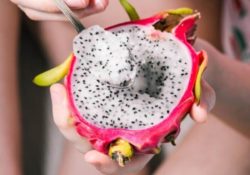 How Long Does Dragon Fruit Last?