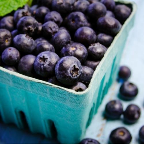 How To Clean Blueberries Properly | KitchenSanity