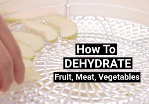 How To Dehydrate Meat, Fruit & Vegetables
