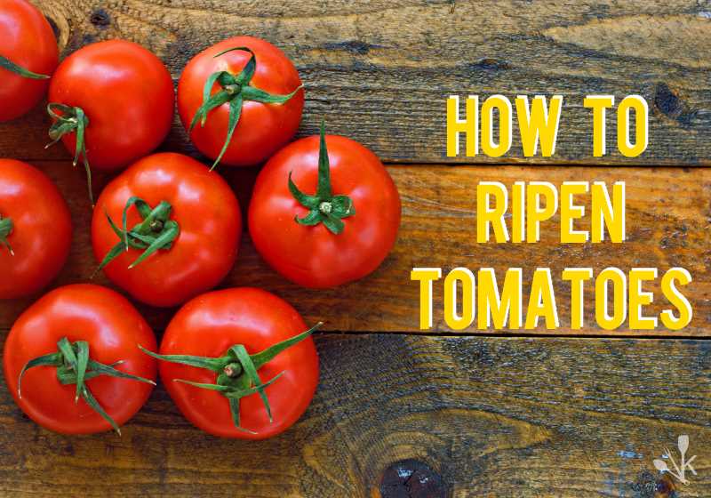 How To Get Tomatoes To Ripen