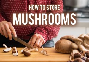 How To Store Mushrooms