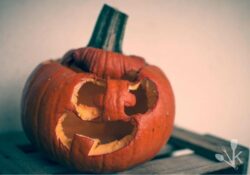 How To Tell If A Pumpkin Is Bad (7 Rotten Signs)