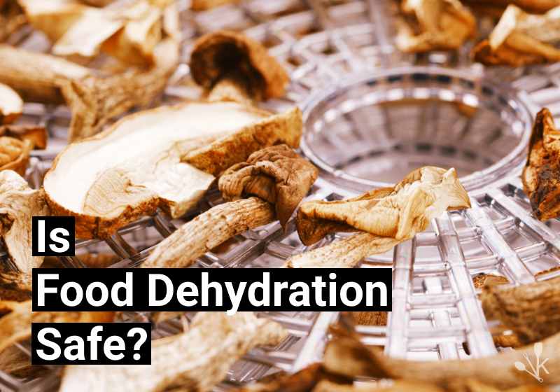 is food dehydration safe
