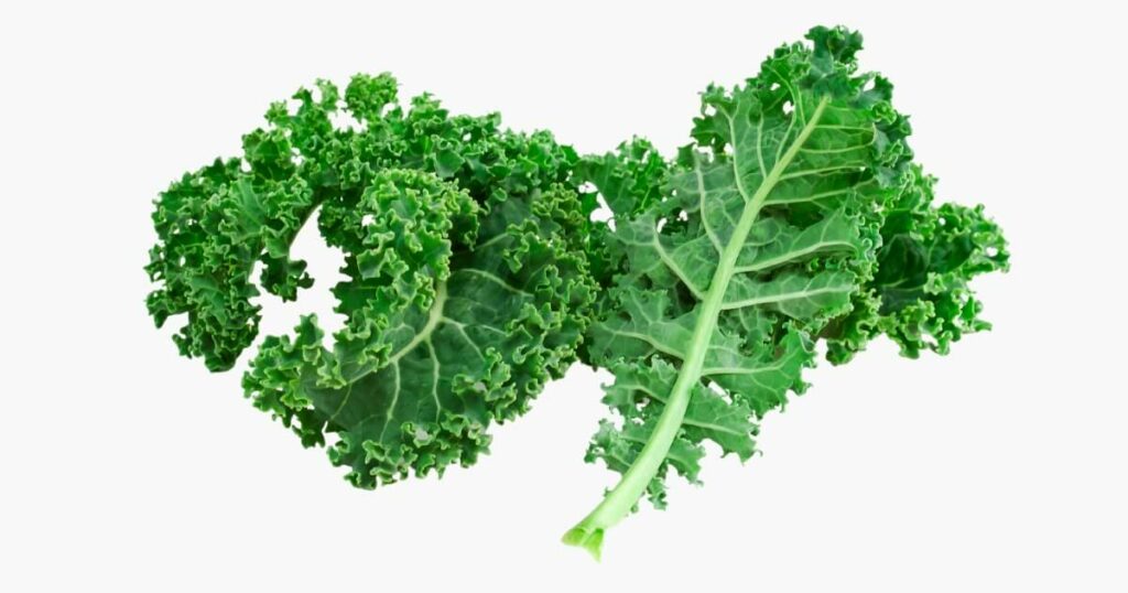 kale for juicing