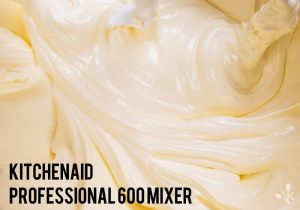 KitchenAid Professional 600 Mixer Review