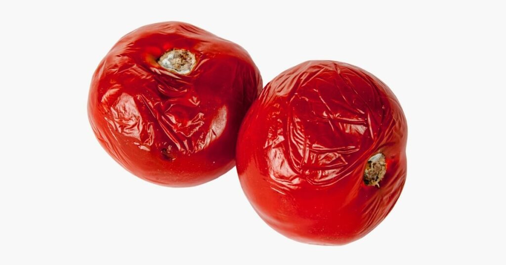 overipe tomatoes
