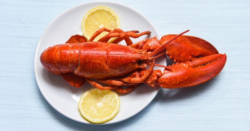 one cooked lobster with lemon