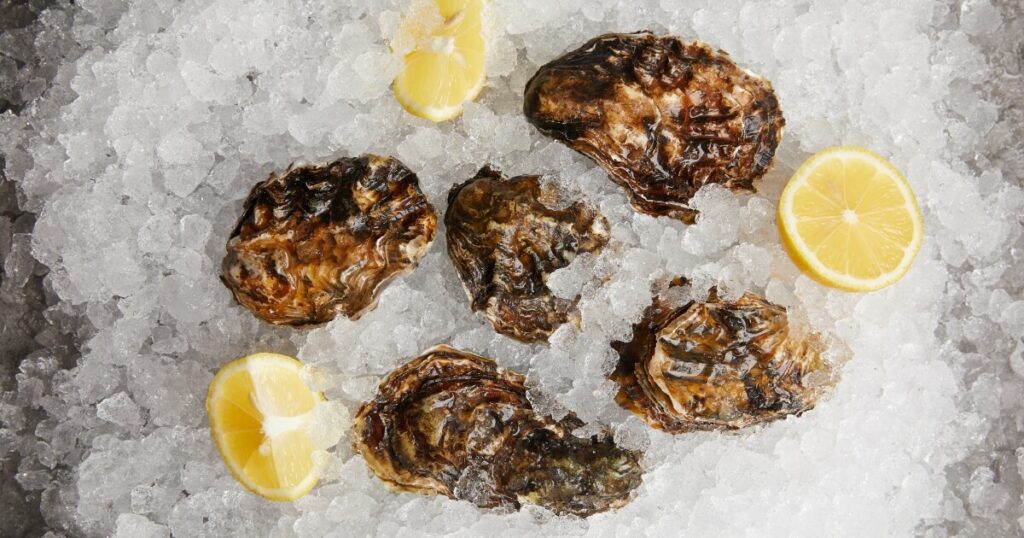 oysters on ice
