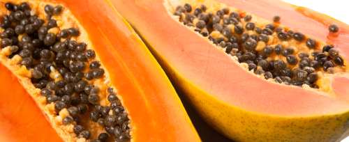 papaya seeds benefits