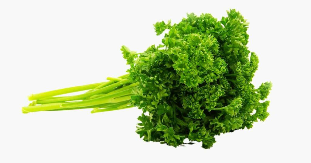 parsley for juicing