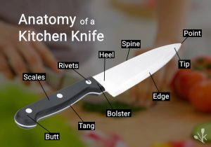 Parts Of A Kitchen Knife – Names & Definitions