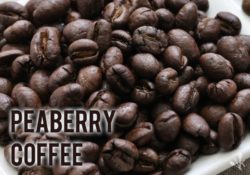 Best Peaberry Coffee Beans For 2022 Reviewed