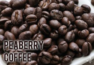 Best Peaberry Coffee Beans For 2021 Reviewed