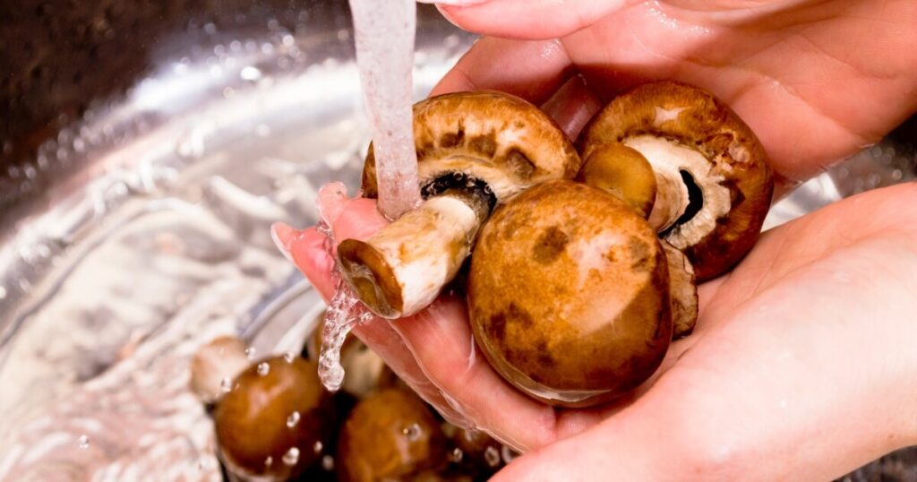 rinsing mushrooms under water