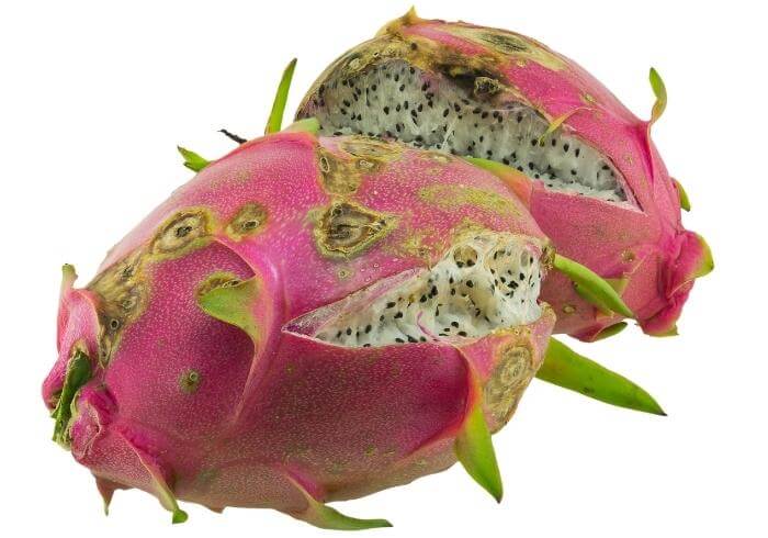 rotten dragon fruit