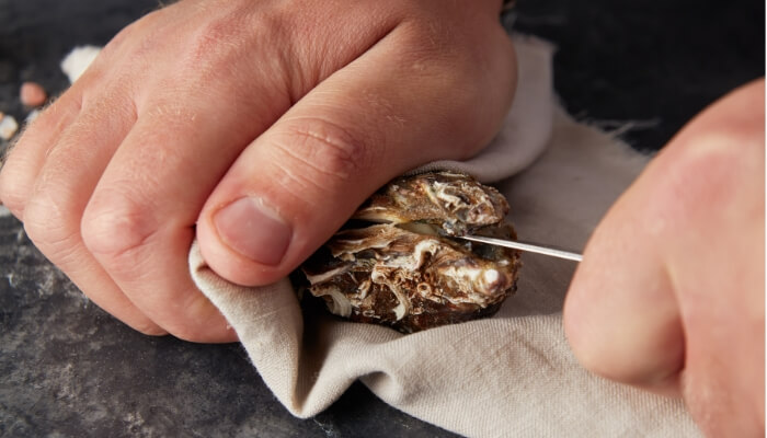 shucking step inserting knife into oyster